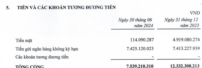 Một doanh nghiệp bất động sản bị cưỡng chế 91 tỷ đồng tiền thuế nhưng tài khoản chỉ còn hơn 7 tỷ- Ảnh 1.