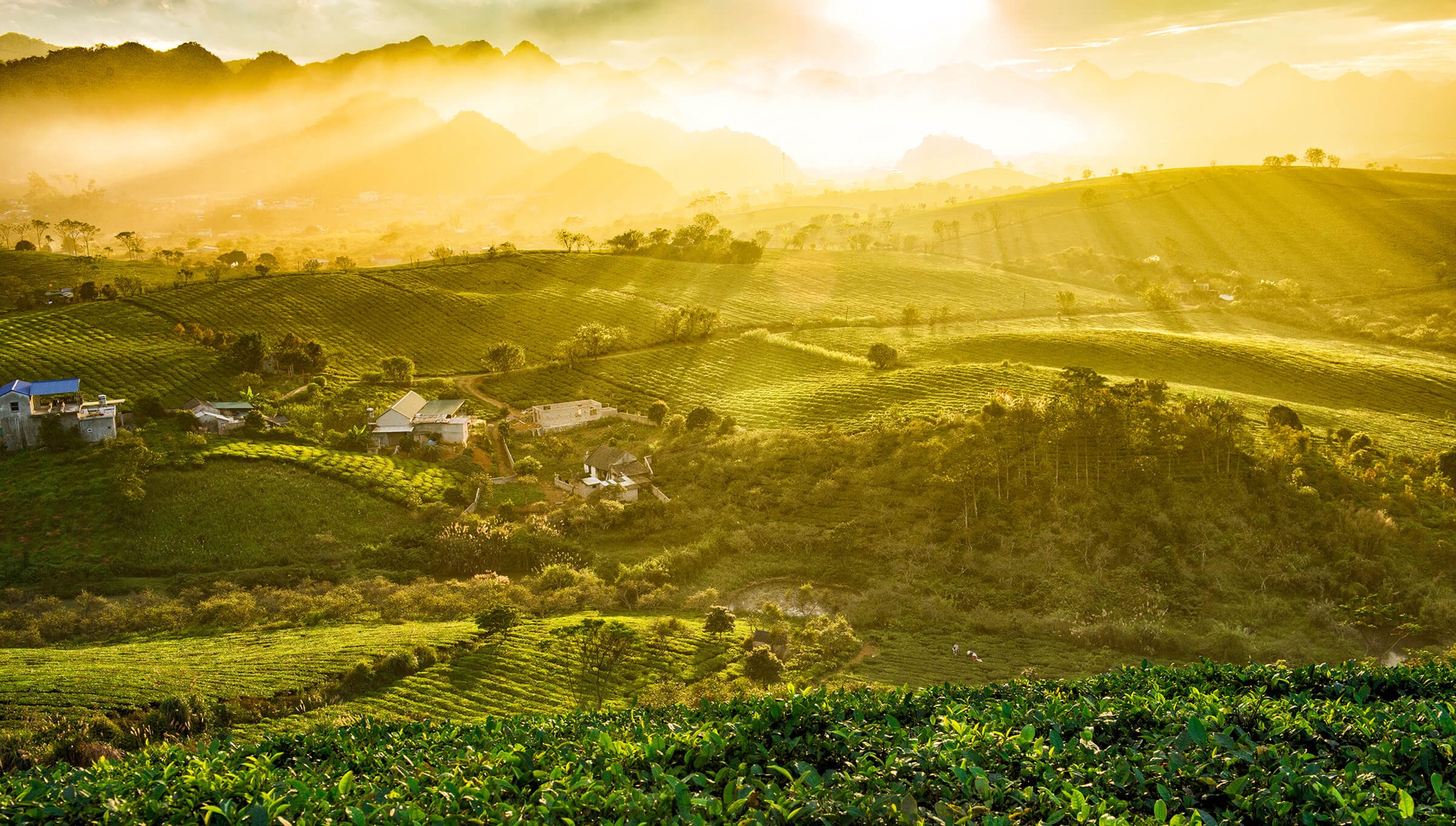 Địa phương Việt Nam từng được vinh danh "hàng đầu thế giới", được ví như viên ngọc xanh, mùa nào cũng đẹp