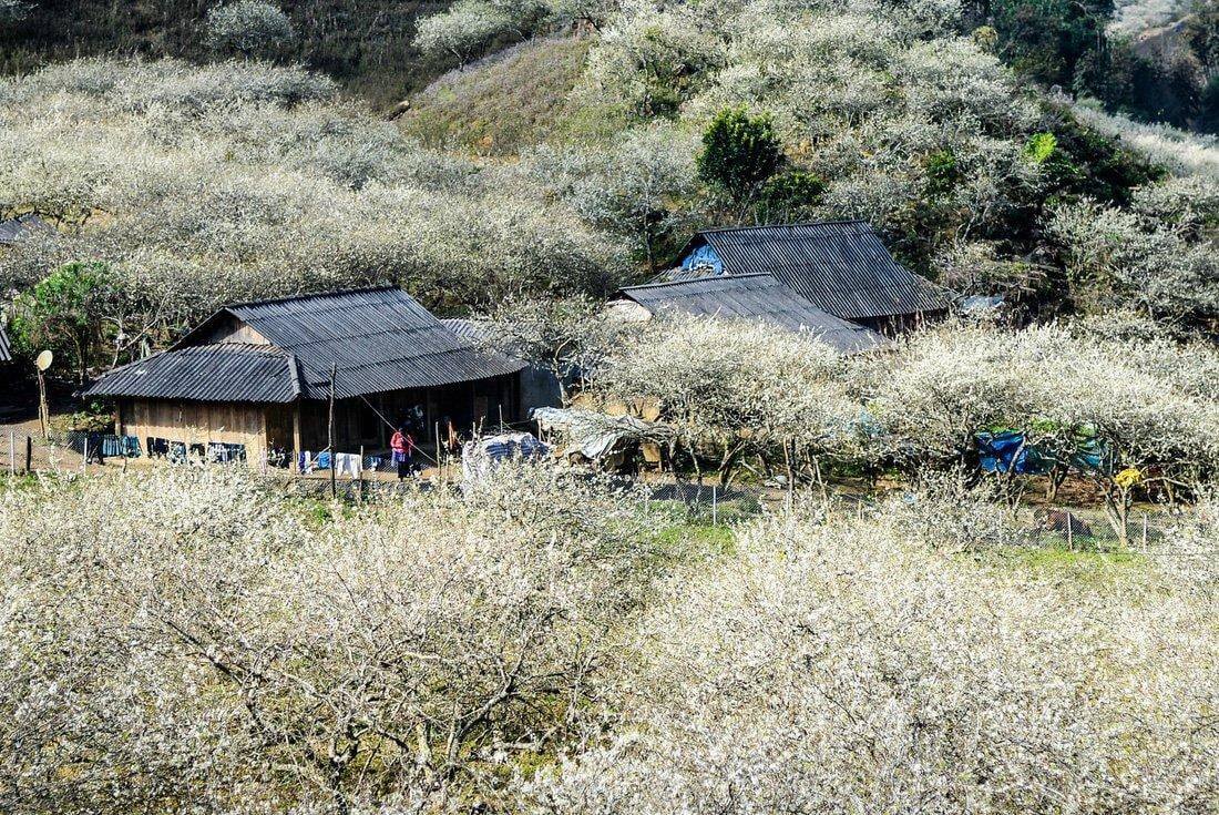 Địa phương Việt Nam từng được vinh danh "hàng đầu thế giới", được ví như viên ngọc xanh, mùa nào cũng đẹp