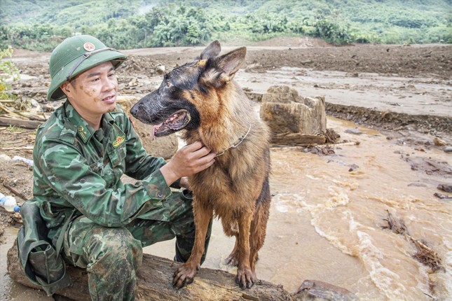 Vào Làng Nủ, gặp chú chó từng đi cứu hộ quốc tế- Ảnh 1.