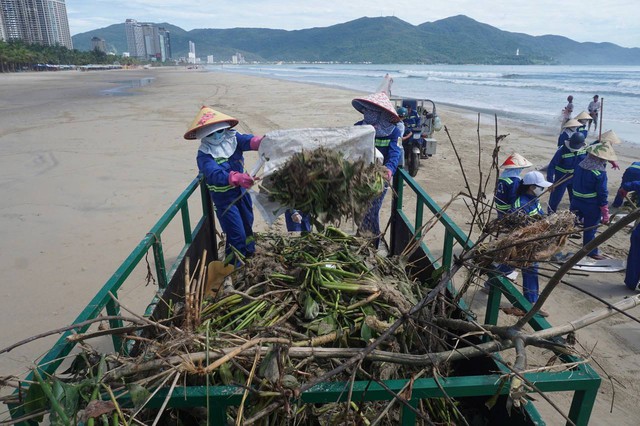 Kim tiêm lẫn trong 10 tấn rác thải bủa vây bãi biển Đà Nẵng sau bão số 4- Ảnh 12.