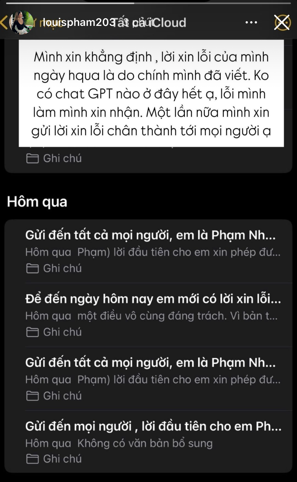 Louis Phạm đáp trả dân mạng nhưng vội vàng xoá đi- Ảnh 2.