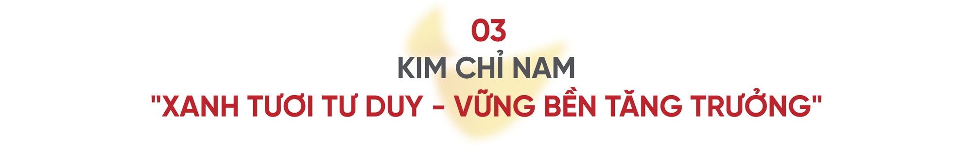 HDBANK - Hành trình 35 năm phụng sự và kiến tạo vì sự phát triển kinh tế quốc gia- Ảnh 7.