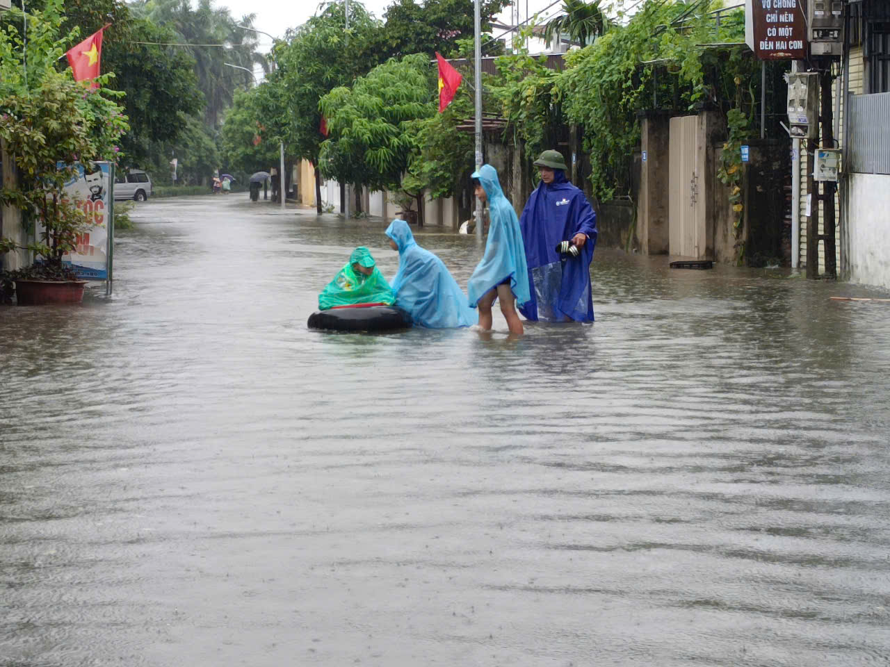 VIDEO: Mưa lớn, hơn 9.000 con gà của một hộ dân chết ngạt- Ảnh 2.