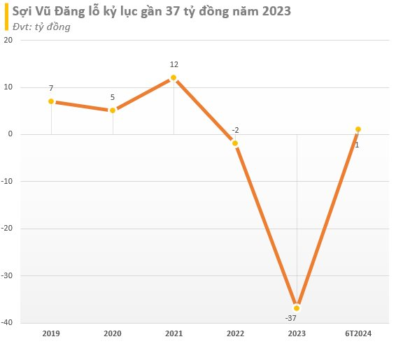 Lỗ kỷ lục năm 2023, một công ty sợi muốn 'lấn sân' mảng bất động sản, tổng mức đầu tư không giới hạn- Ảnh 2.