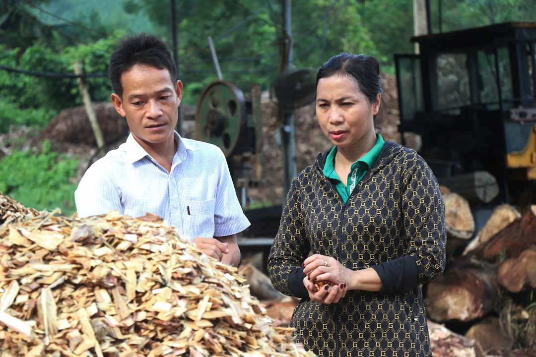 Chị nông dân trồng cây cao vút