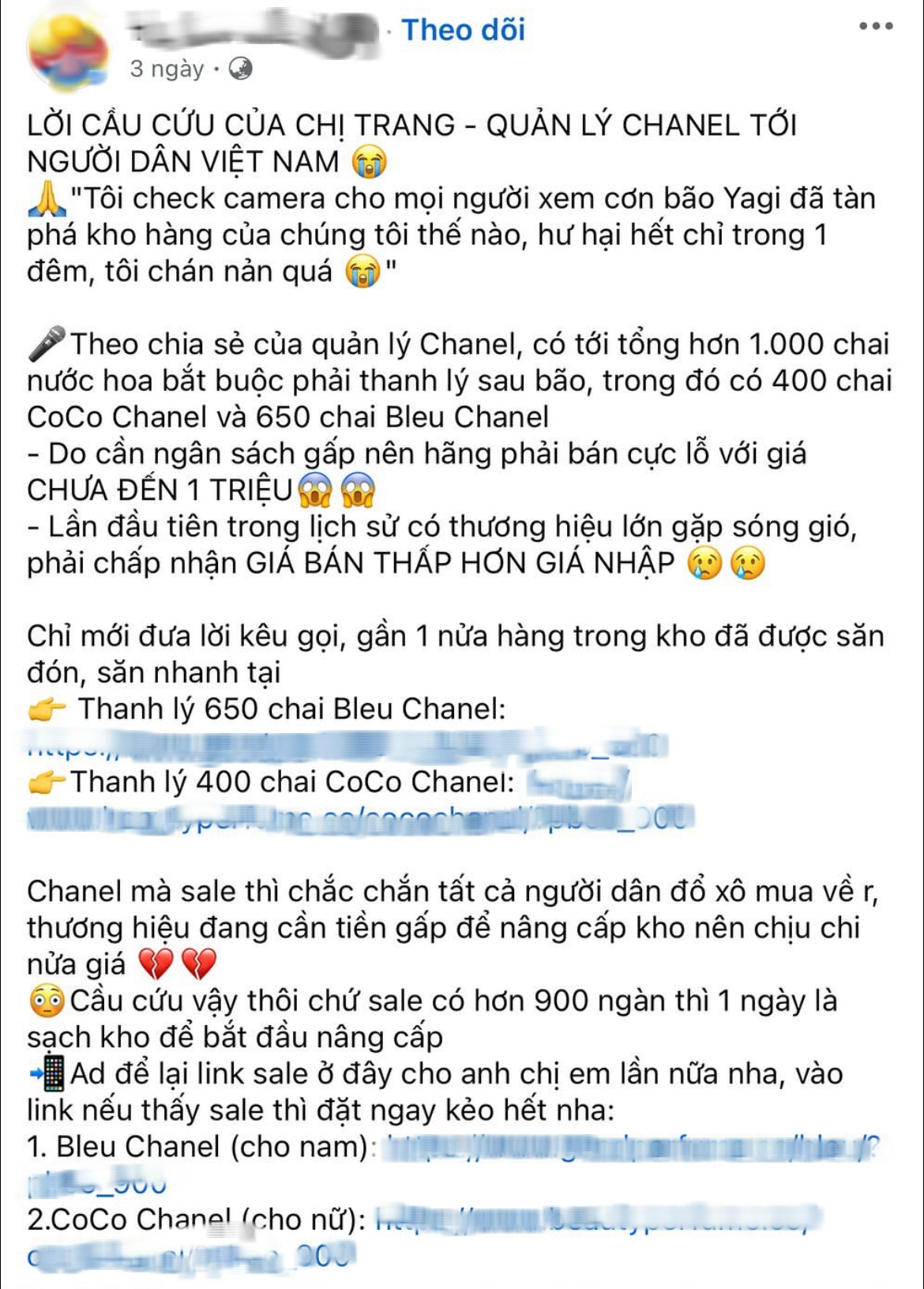 Chanel Việt Nam xả kho sập sàn vì ngập? Hài vậy mà cũng tin- Ảnh 3.