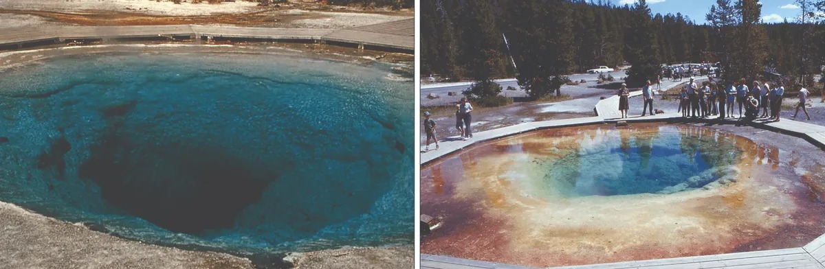 Hồ Morning Glory của Yellowstone 'lột xác' thành màu cầu vồng vì một lý do mà chẳng ai ngờ tới- Ảnh 1.