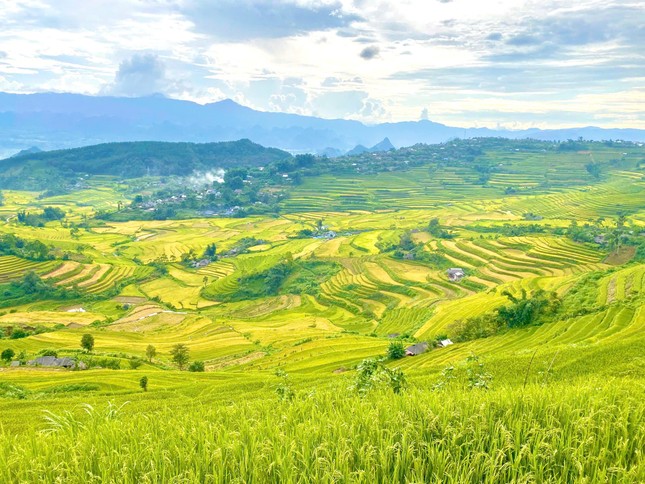 Lung linh mùa vàng trên rẻo cao Lai Châu- Ảnh 1.