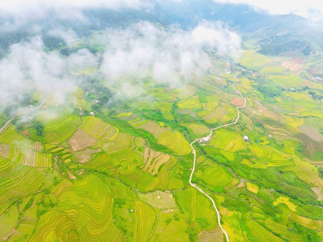 Lung linh mùa vàng trên rẻo cao Lai Châu- Ảnh 12.