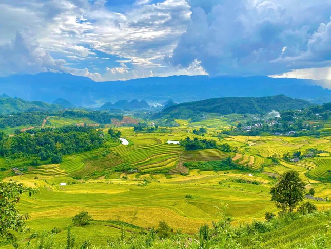 Lung linh mùa vàng trên rẻo cao Lai Châu- Ảnh 2.