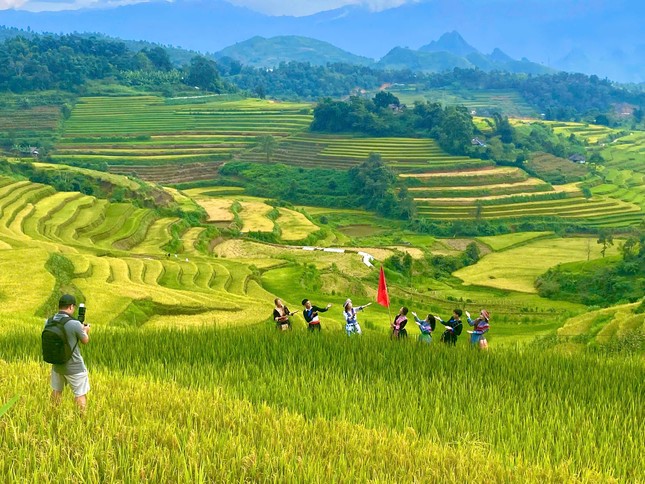 Lung linh mùa vàng trên rẻo cao Lai Châu- Ảnh 3.