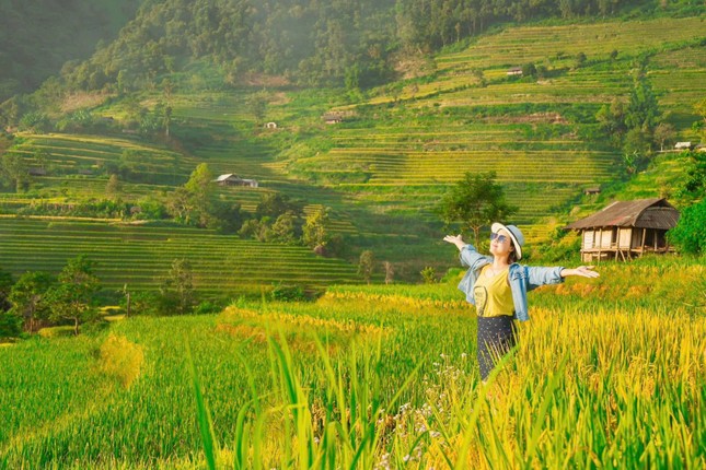 Lung linh mùa vàng trên rẻo cao Lai Châu- Ảnh 4.