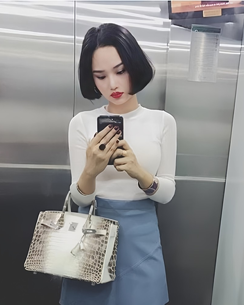 Chiếc túi Hermès bà Trương Mỹ Lan tiếc nuối: 7 năm trước khiến showbiz Việt loạn lạc vì drama "auth - fake"- Ảnh 14.