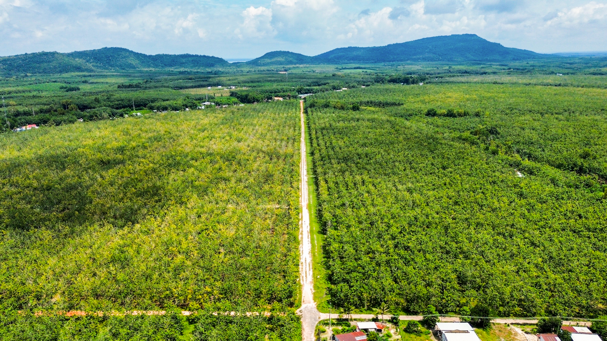 Toàn cảnh khu vực được đề xuất làm sân bay đầu tiên của tỉnh Bình Dương- Ảnh 3.