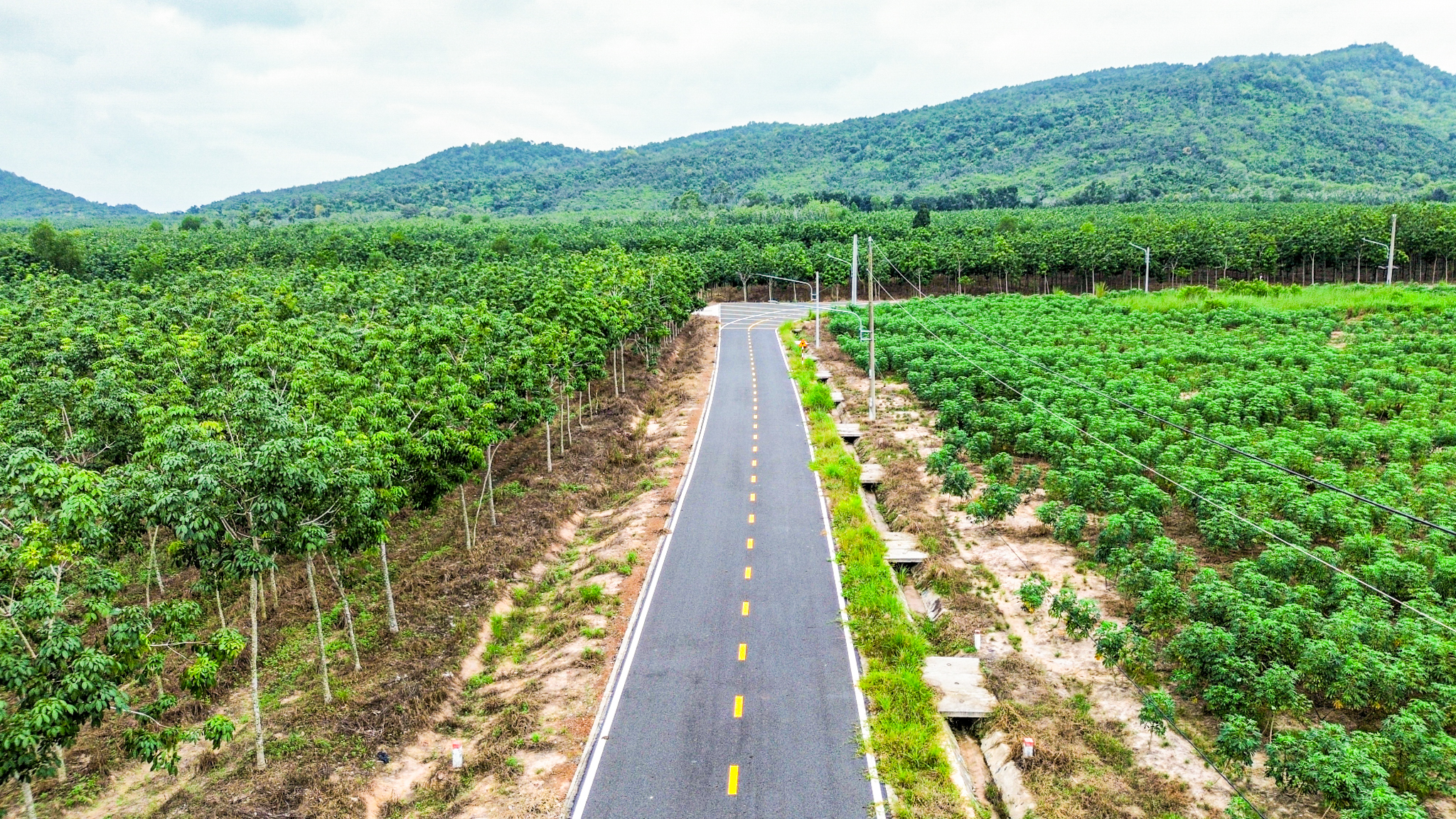 Toàn cảnh khu vực được đề xuất làm sân bay đầu tiên của tỉnh Bình Dương- Ảnh 6.