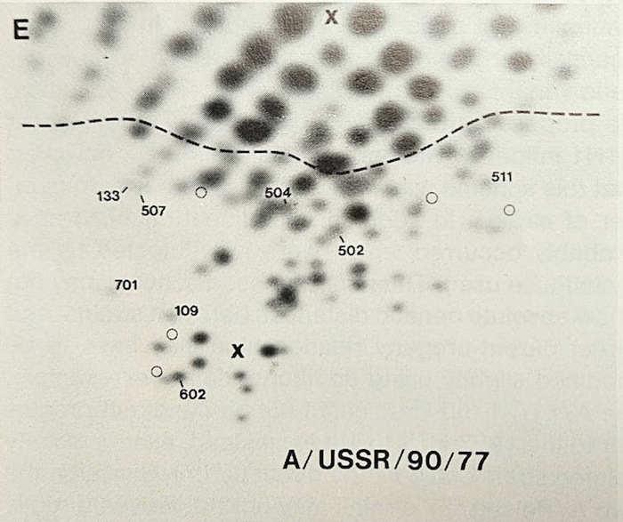 Bí ẩn Cúm Nga năm 1977: Một đại dịch tự ứng nghiệm từ “lỗ hổng không-thời gian”- Ảnh 6.