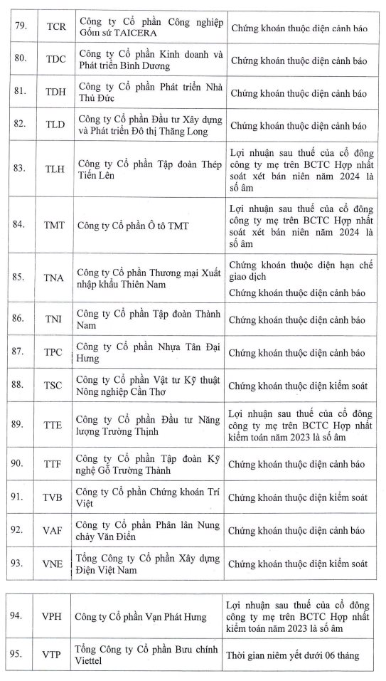 Thêm 6 mã chứng khoán bị HoSE cắt margin do lợi nhuận âm- Ảnh 8.