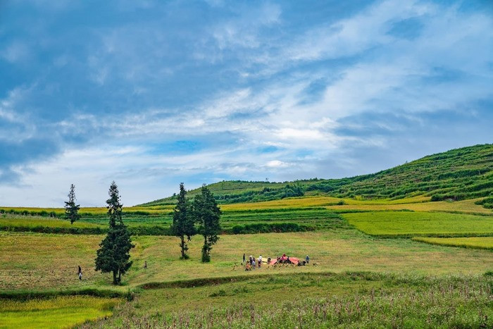 Phát hiện thêm một ‘‘Thụy Sỹ thu nhỏ’’ cách Hà Nội chỉ 400km: Mê mẩn cảnh thảo nguyên xanh bạt ngàn hoa cỏ, du khách đi chẳng muốn về- Ảnh 3.