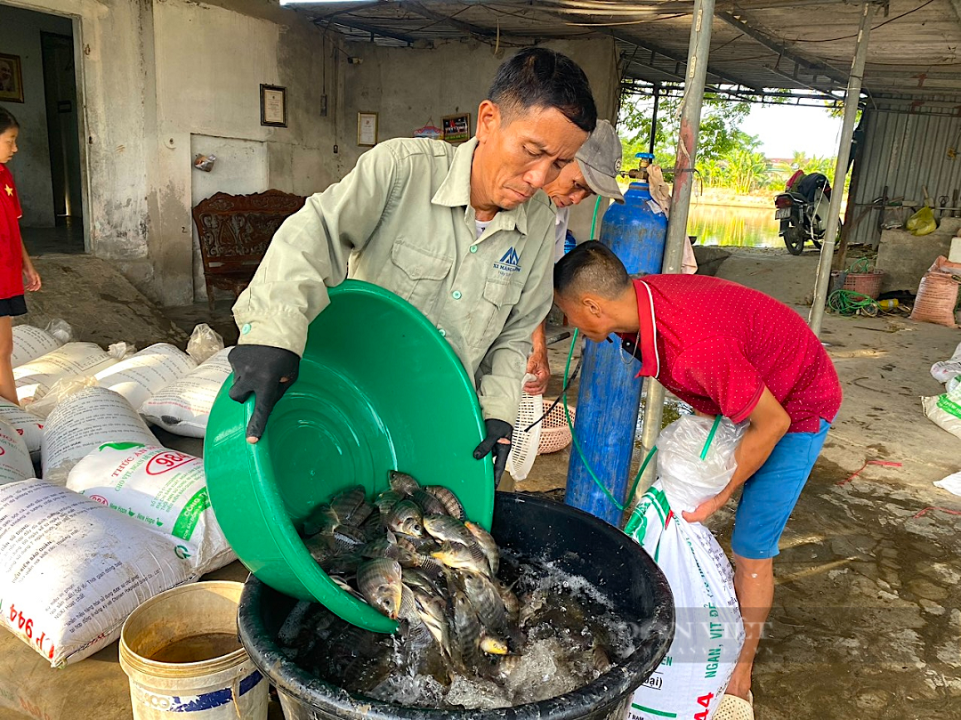 Từ đôi bàn tay trắng, anh nông dân nhẹ nhàng kiếm hơn 1 tỷ đồng/năm nhờ nuôi con "hiền lành, mắn đẻ"- Ảnh 4.