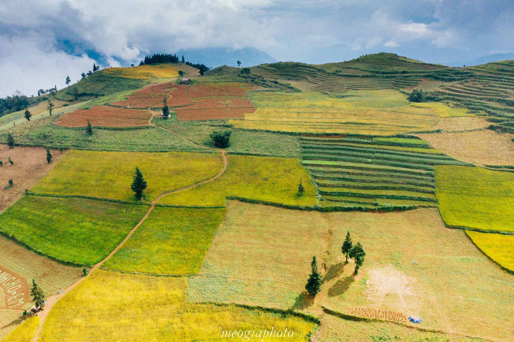 Phát hiện thêm một ‘‘Thụy Sỹ thu nhỏ’’ cách Hà Nội chỉ 400km: Mê mẩn cảnh thảo nguyên xanh bạt ngàn hoa cỏ, du khách đi chẳng muốn về- Ảnh 2.