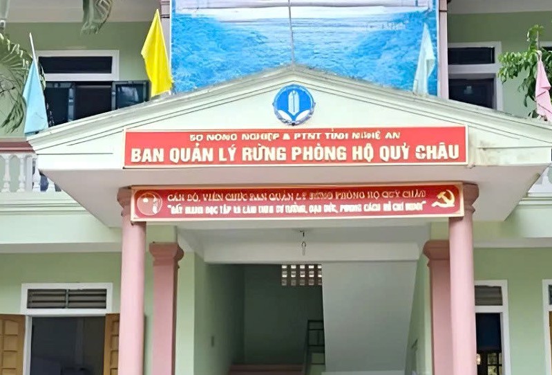 Khởi tố 4 cán bộ ban quản lý rừng phòng hộ- Ảnh 1.