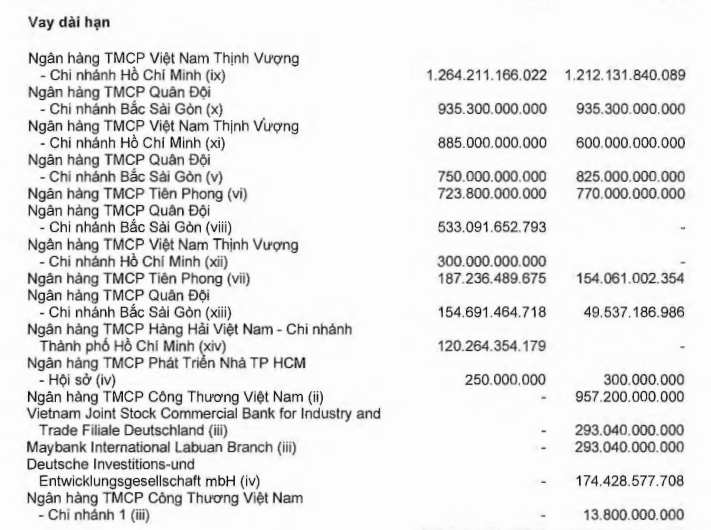 Vi phạm nghĩa vụ thanh toán loạt khoản vay, ai là chủ nợ lớn nhất của Novaland?- Ảnh 2.