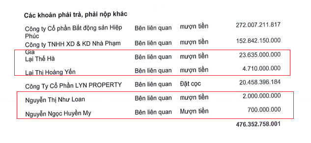 Quốc Cường Gia Lai lỗ kỷ lục, khoản thu nhập trước khi bị bắt của bà Nguyễn Thị Như Loan gây bất ngờ- Ảnh 2.