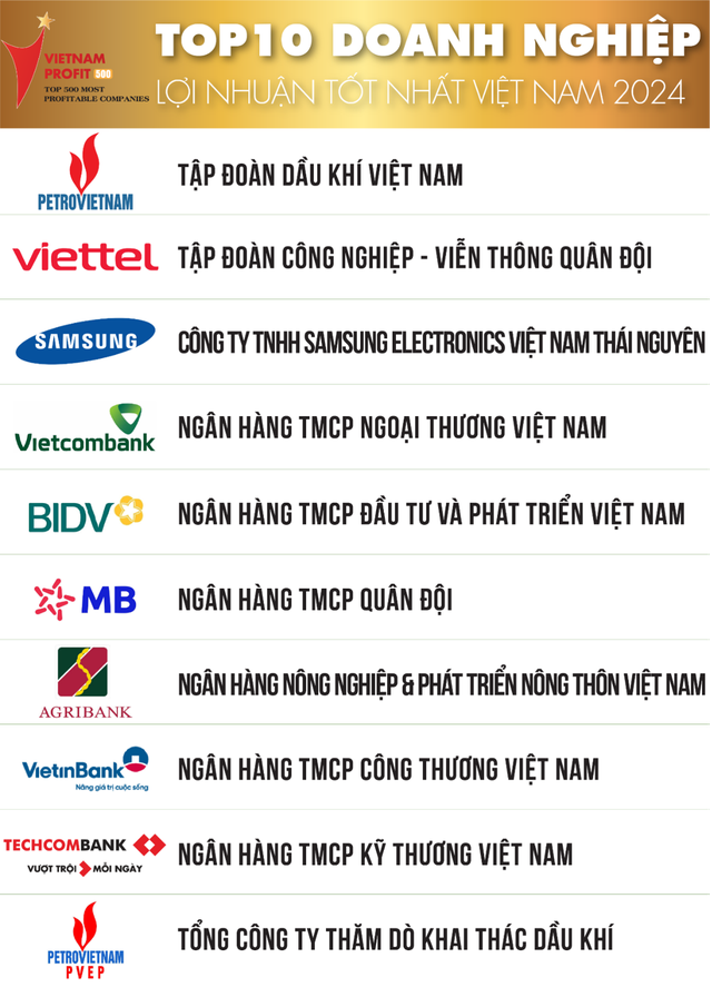 Top 10 DN tư nhân lãi nhất Việt Nam: Vingroup đứng sau ACB, FPT trở lại Top 10 sau 5 năm vắng bóng, Hòa Phát không còn trong danh sách- Ảnh 2.