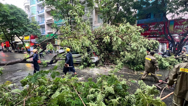 Nhiều cây xanh ở TP HCM bật gốc, có người bị thương trong chiều mưa lớn- Ảnh 5.