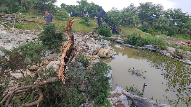 Vụ cưỡng chế nhà vườn 'triệt hạ' luôn cả cây xanh, hồ cá: Yêu cầu báo cáo kết quả kiểm tra trước ngày 10/10- Ảnh 1.