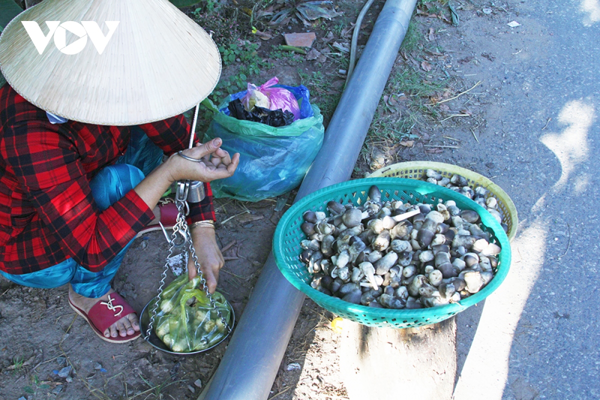 Người dân vùng đầu nguồn Đồng Tháp hốt bạc từ rơm rạ- Ảnh 13.