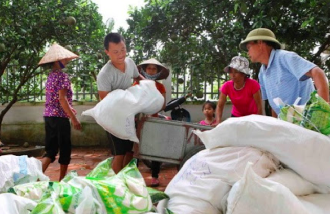 Lên phương án xuất cấp hàng dự trữ quốc gia ứng phó bão số 3- Ảnh 1.