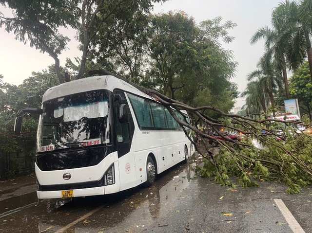 Hà Nội dông lớn và mưa to, cây đổ la liệt trước khi siêu bão Yagi đổ bộ- Ảnh 5.