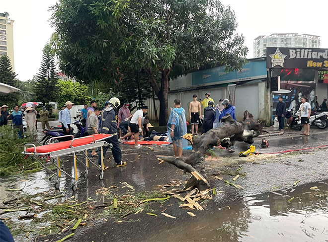 Hà Nội: Hiện trường vụ cây phượng bật gốc đè 2 người đi đường, 1 phụ nữ tử vong- Ảnh 3.