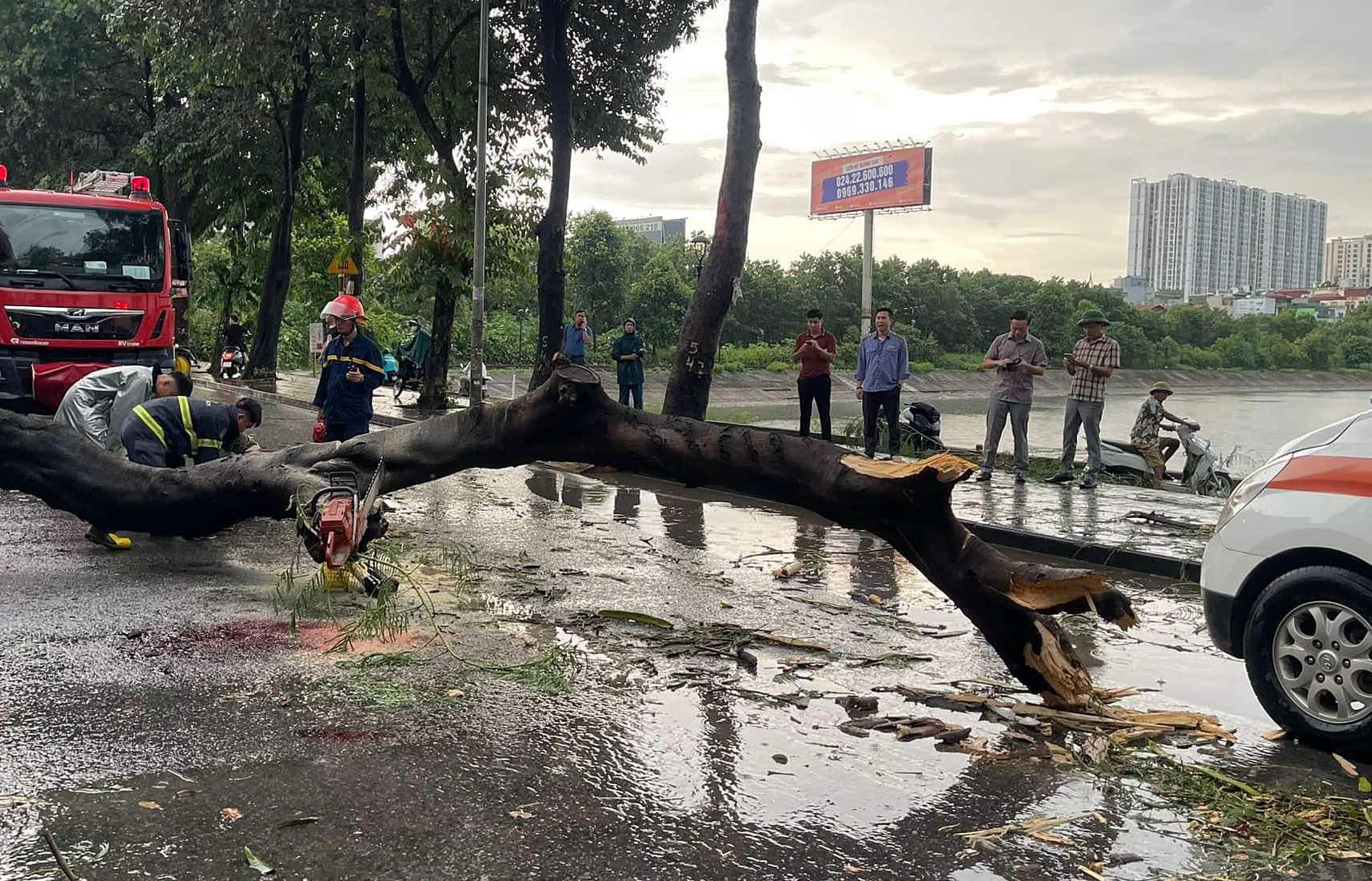 Hà Nội: Hiện trường vụ cây phượng bật gốc đè 2 người đi đường, 1 phụ nữ tử vong- Ảnh 4.