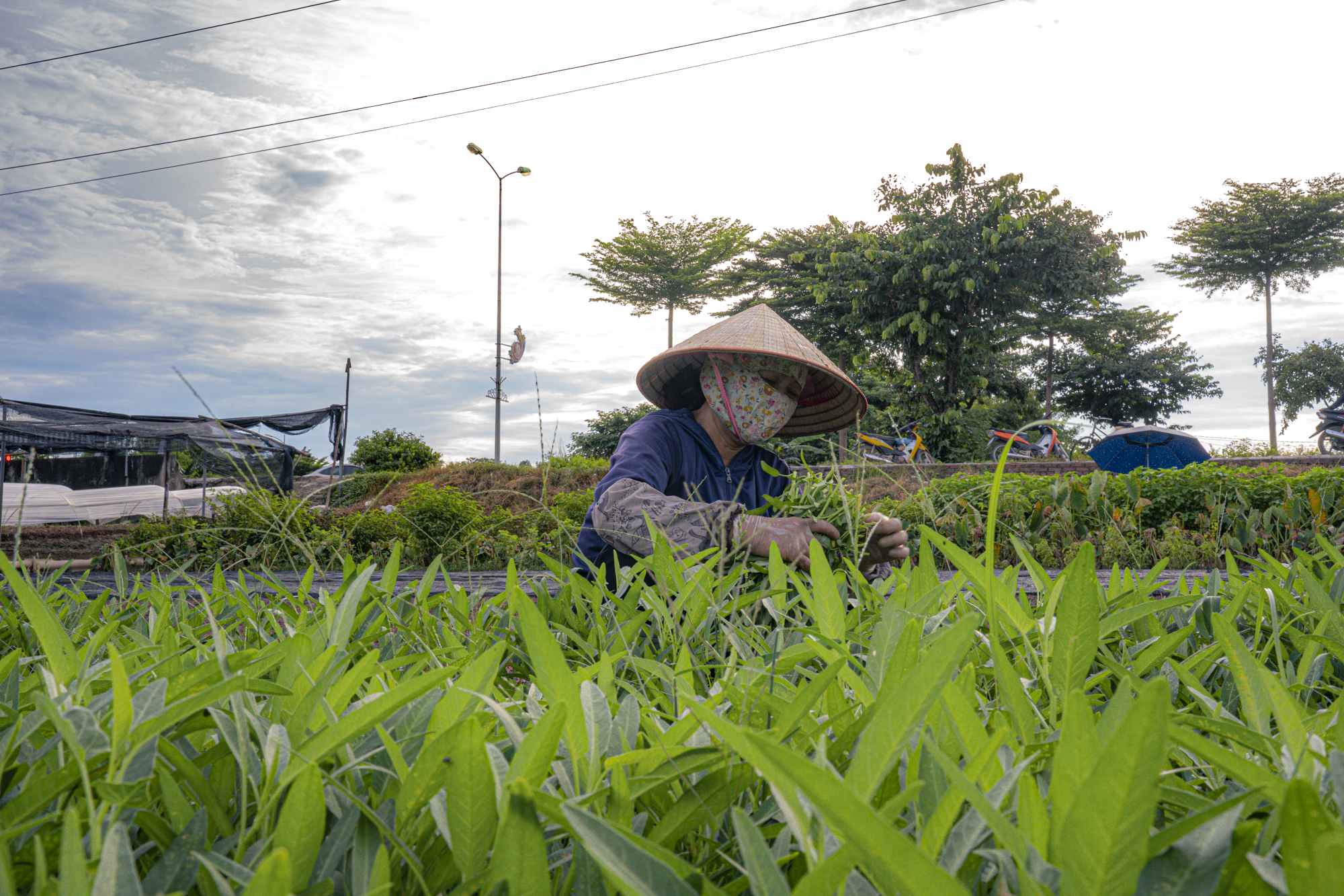 Toàn cảnh khu vực được quy hoạch làm công viên rộng gấp 4 lần vườn thú Thủ Lệ, nằm ngay trung tâm hành chính một quận của Hà Nội- Ảnh 6.