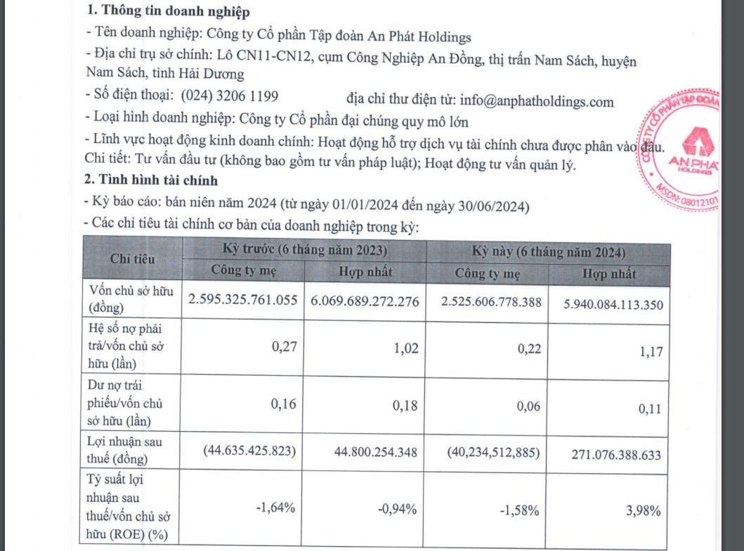 Công ty mẹ An Phát Holdings báo lỗ ròng 40,2 tỷ đồng trong 6 tháng đầu năm 2024- Ảnh 2.