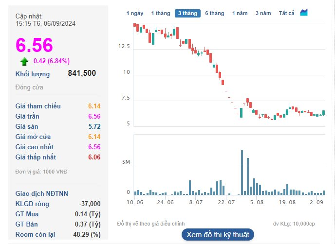 Cổ phiếu Quốc Cường Gia Lai (QCG) “tím lịm” trong phiên VN-Index gặp khó- Ảnh 2.