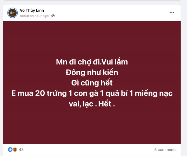 Người Hà Nội sục sôi tích thực phẩm trước siêu bão Yagi, nhiều chợ hết sạch đồ- Ảnh 6.