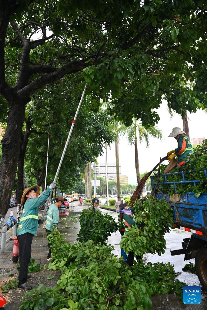 Workers cut redundant branches of trees ahead of the landfall of typhoon Yagi in Haikou, south China's Hainan Province, Sept. 5, 2024. The State Flood Control and Drought Relief Headquarters raised its emergency response for flood and typhoon prevention from level III to level II in Guangdong and Hainan provinces at 3 p.m. Thursday, as typhoon Yagi approaches.  Yagi is expected to make landfall on Friday afternoon or evening somewhere between the city of Qionghai in Hainan and Maoming City in Guangdong. (Xinhua/Guo Cheng)