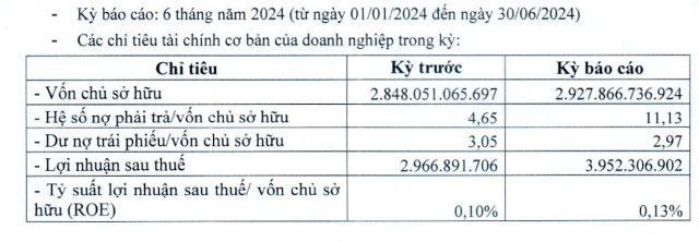 Chủ đầu tư dự án 267 ha ở Long An lãi gần 4 tỷ trong 6 tháng đầu năm- Ảnh 1.