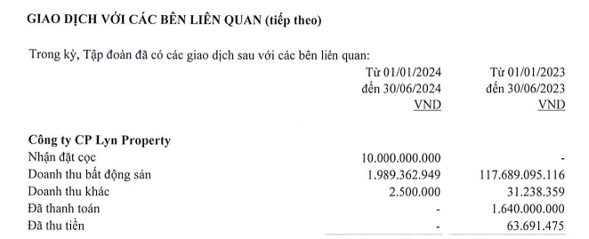 Lyn Property của em gái Cường Đô la hơn 1 năm chưa đóng bảo hiểm cho người lao động- Ảnh 2.