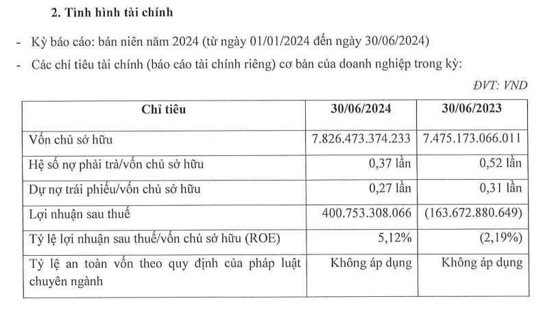 Công ty con của Novaland (NVL) báo lãi, có duy nhất 1 lô trái phiếu đang lưu hành- Ảnh 1.