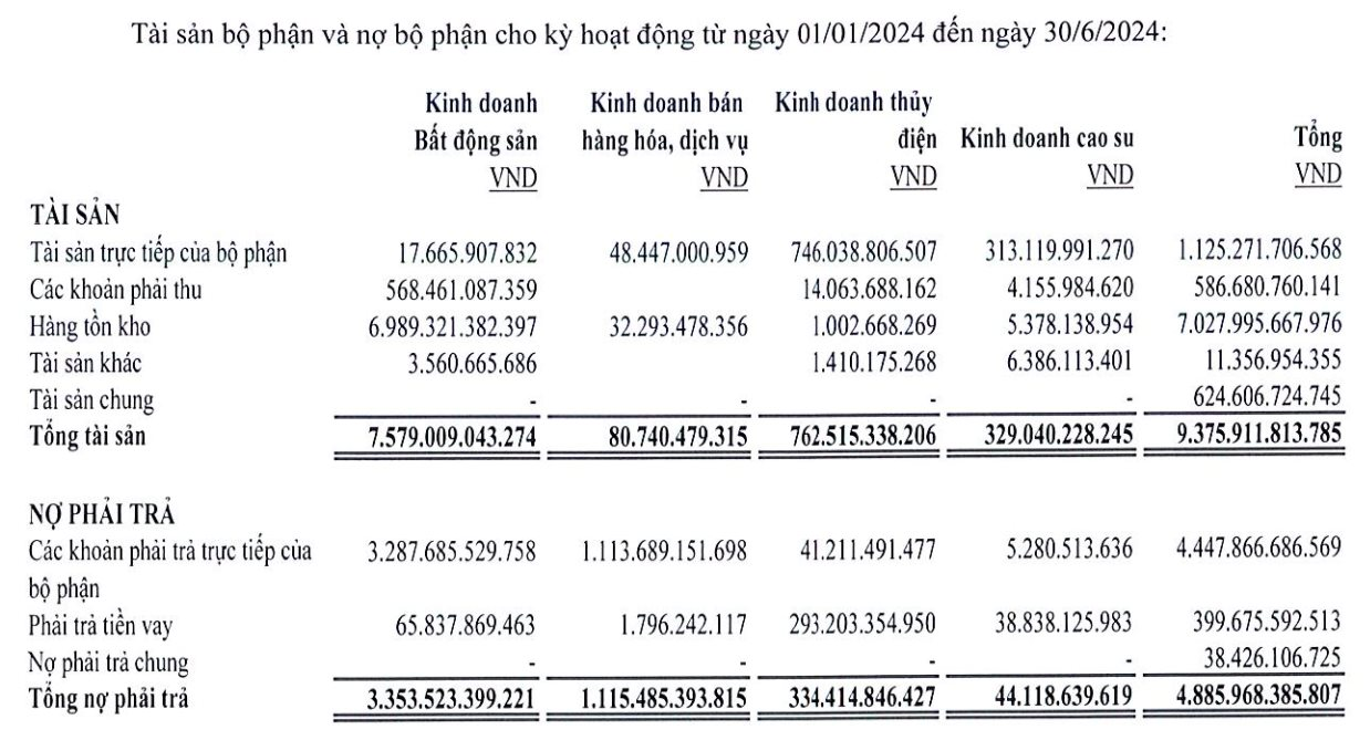 Mảng thuỷ điện và cao su đang đóng góp hơn 90% doanh thu nhưng sẽ phải bán đi để trả nợ 2.882 tỷ cho Vạn Thịnh Phát, Quốc Cường Gia Lai sẽ còn lại gì?- Ảnh 2.