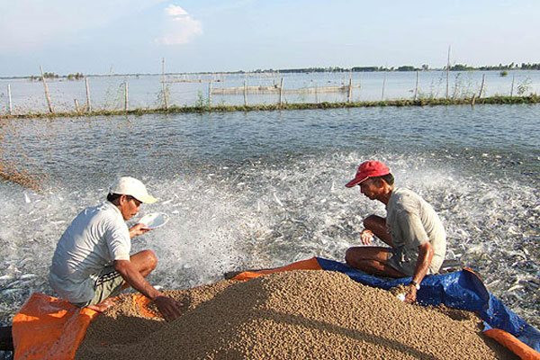 'Sản vật tỷ đô' của Việt Nam phục hồi đà tăng trưởng: Thu về hơn 6 tỷ USD, được Mỹ, Nhật Bản và Trung Quốc đua nhau thu mua- Ảnh 1.