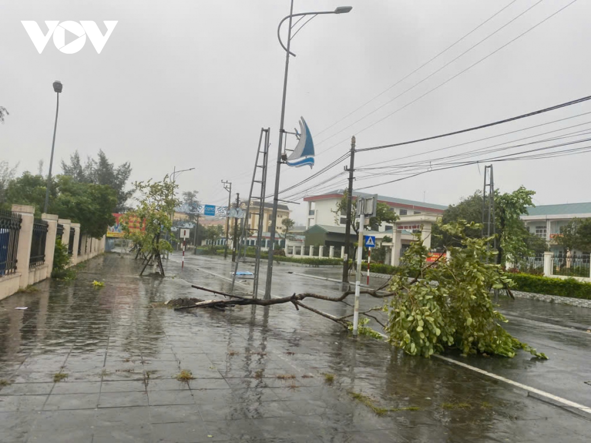 Trực tiếp: Siêu bão Yagi khiến Cô Tô mưa trắng trời, nhiều cây xanh bị quật đổ- Ảnh 10.