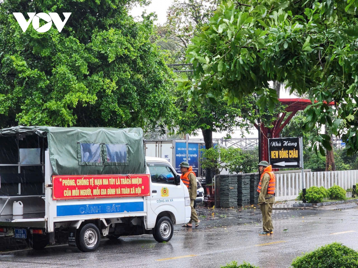 Trực tiếp: Siêu bão Yagi khiến Cô Tô mưa trắng trời, nhiều cây xanh bị quật đổ- Ảnh 6.