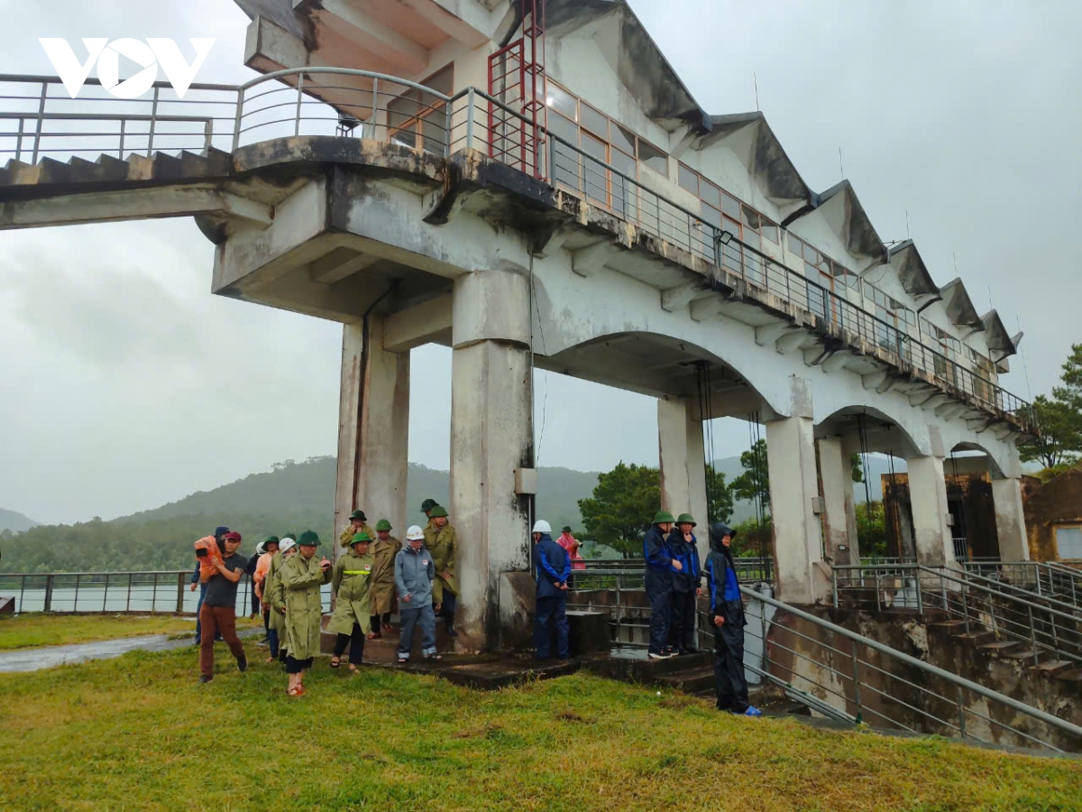 Trực tiếp: Siêu bão Yagi khiến Cô Tô mưa trắng trời, nhiều cây xanh bị quật đổ- Ảnh 14.