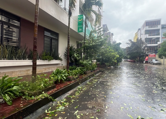 Bão số 3 đã vào Quảng Ninh, Hải Phòng: Xe ô tô bị thổi bay lên dải phân cách- Ảnh 9.